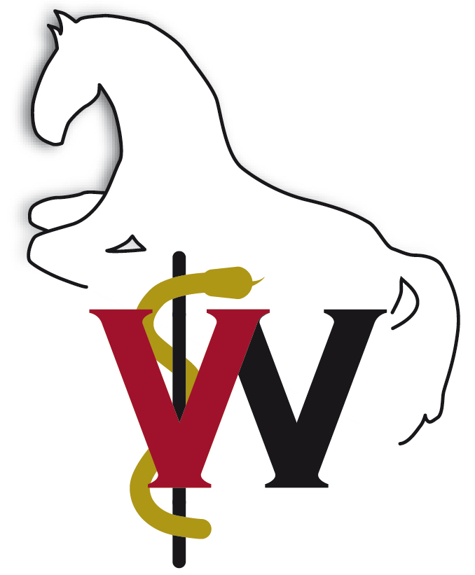 Pferdeklinik Wolfesing - Tierärztliche Klinik für Pferde - München und Region