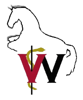 Pferdeklinik Wolfesing - Tierärztliche Klinik für Pferde - München und Region