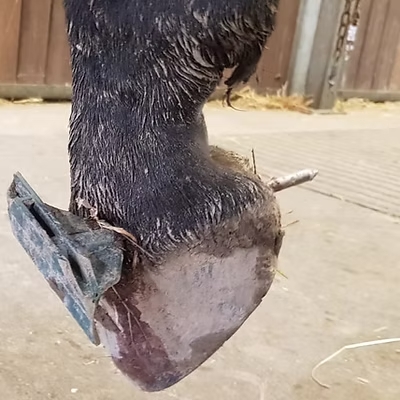 Fahrpraxis / Notfall